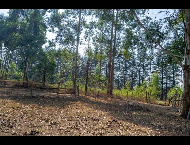 LAND FOR SALE IN GREENDALE